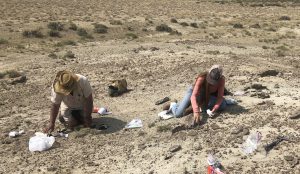 Crew in the field.